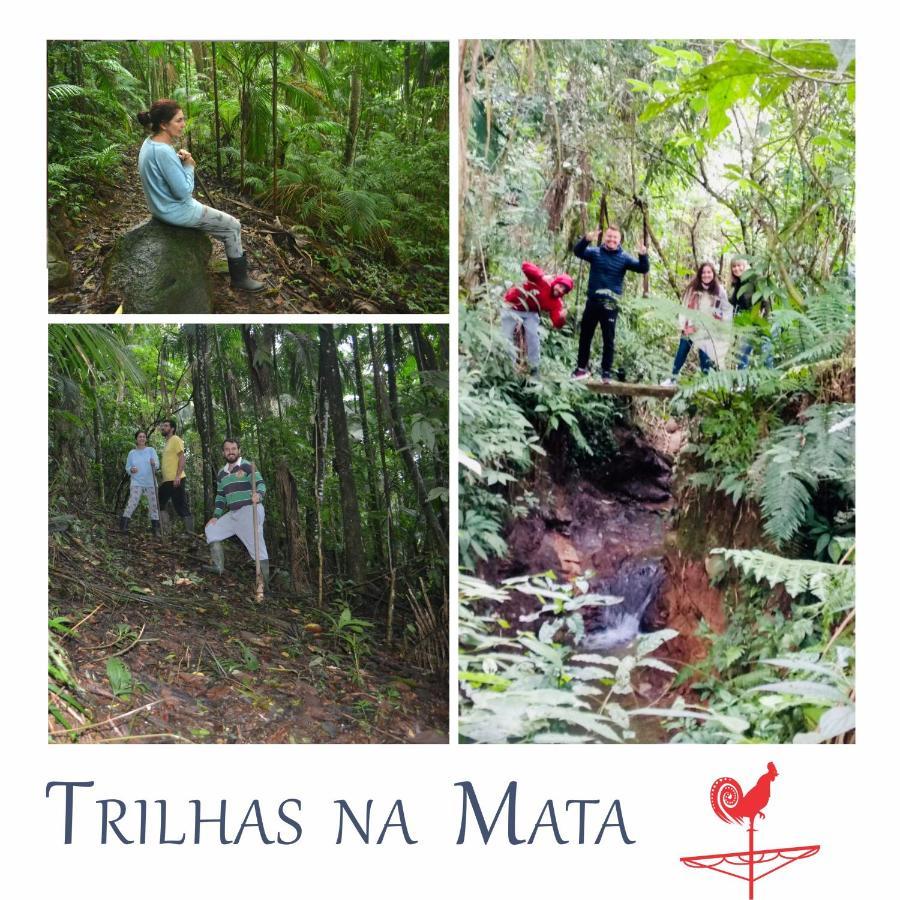 Quinta Da Gavea - Hospedaria E Quintal Criativo Rodeio Екстер'єр фото